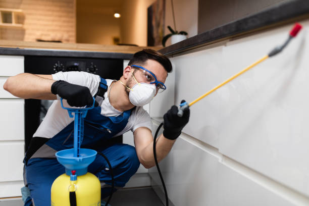 Best Insect Control  in Freeport, NY