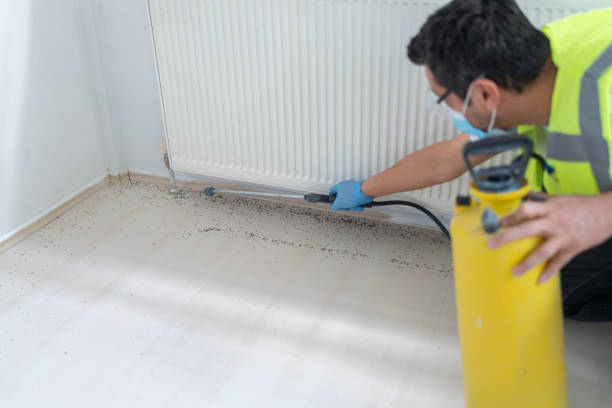 Best Exterminator Services  in Freeport, NY